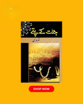 Jannat Kay Pattay / جنت کے پتے Nemrah Ahmed